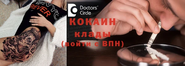PSILOCYBIN Белокуриха