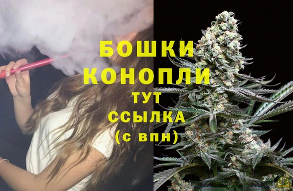 PSILOCYBIN Белокуриха