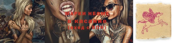 PSILOCYBIN Белокуриха
