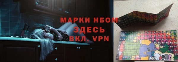 PSILOCYBIN Белокуриха