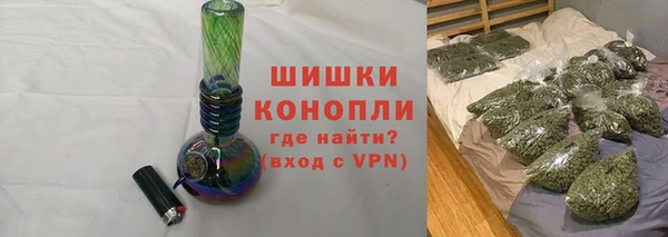 PSILOCYBIN Белокуриха
