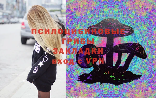 эйфоретик Беломорск