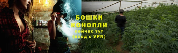 PSILOCYBIN Белокуриха