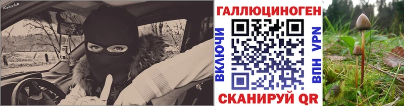 Псилоцибиновые грибы Psilocybe  Демидов 